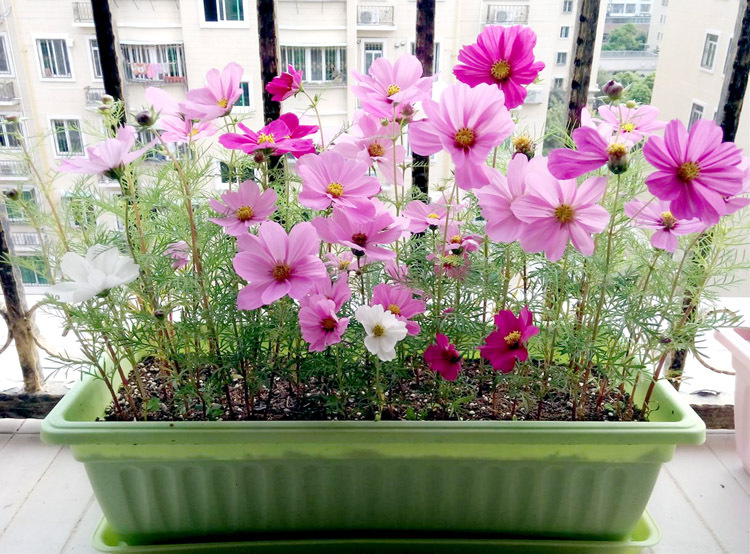 TB2F.LCdXXXXXc0XXXXXXXXXXXX-20