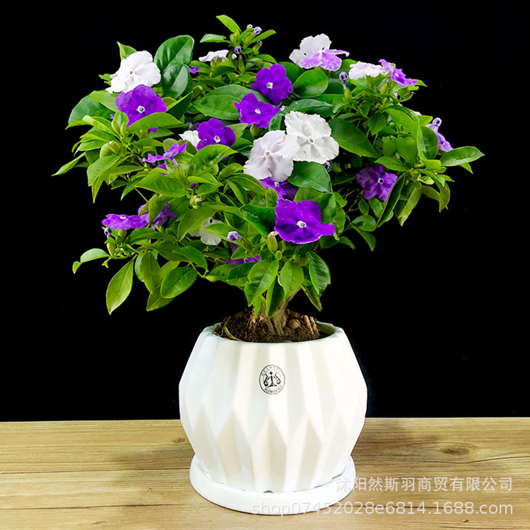 QQ图片20200802183359