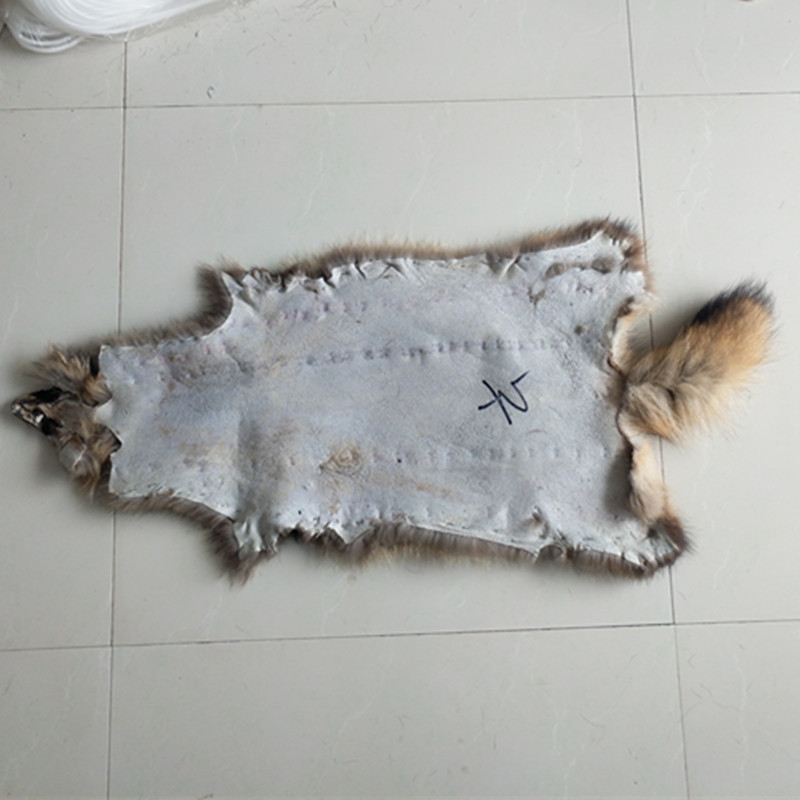 IMG_20200801_103210_副本