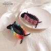 Rainbow hairgrip, crab pin, cute hairpins, internet celebrity