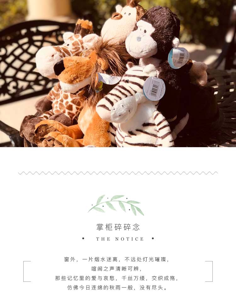 01 掌柜碎碎念从林