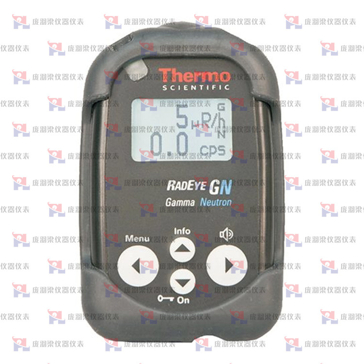 赛默飞世尔Thermo Scientific? RadEye GN便携式γ/中子测量仪