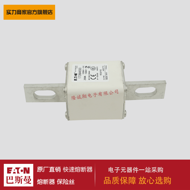 熔断器170M4690 170M4691 170M4692 170M4693 170M4694 170M4695