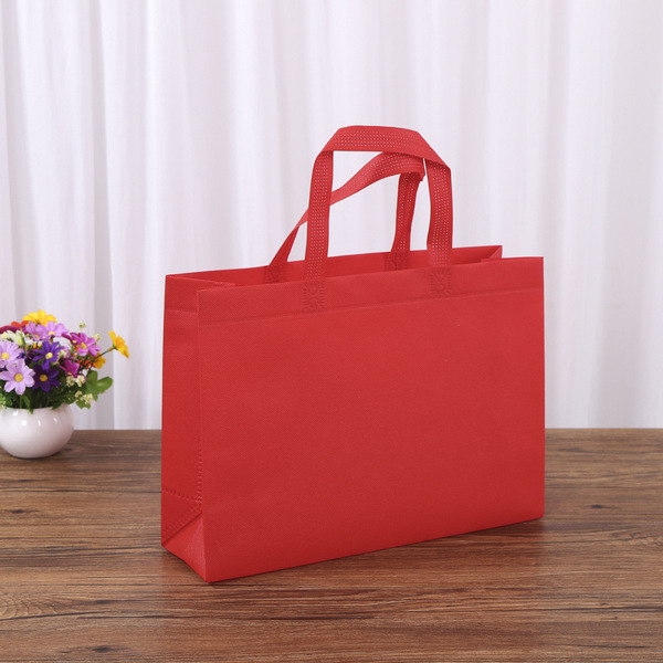 Bag non-woven cloth