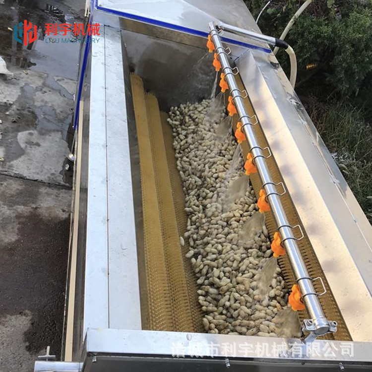 山东地瓜 地蛋气泡清洗机 红薯 马铃薯去皮毛辊清洗机 厂家直销