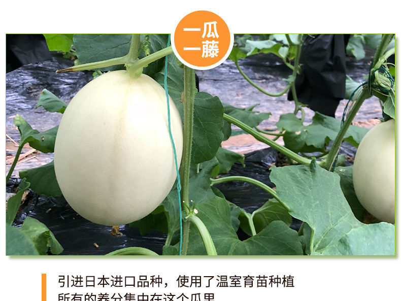 853339818652a33e26bdbc35c74b2b