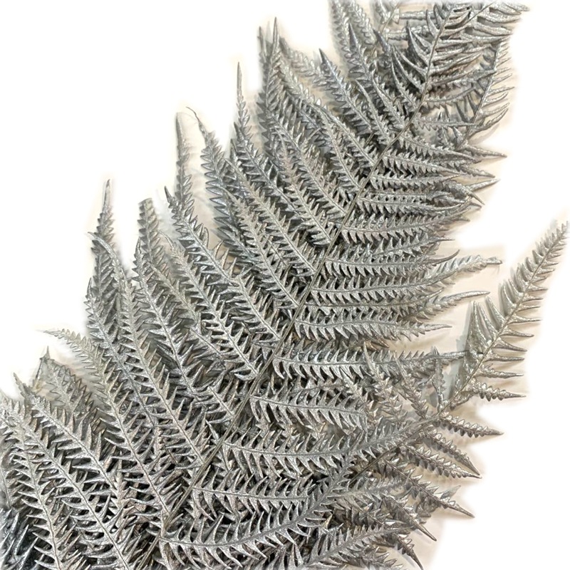 微信图片_20200420130929