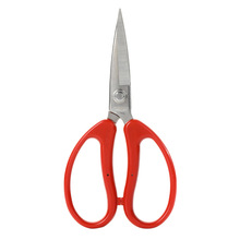 ��Ⱥ�Ƶ��������P䓷��b��8��ÿp���ϻ�߅�������ò��𾀼���