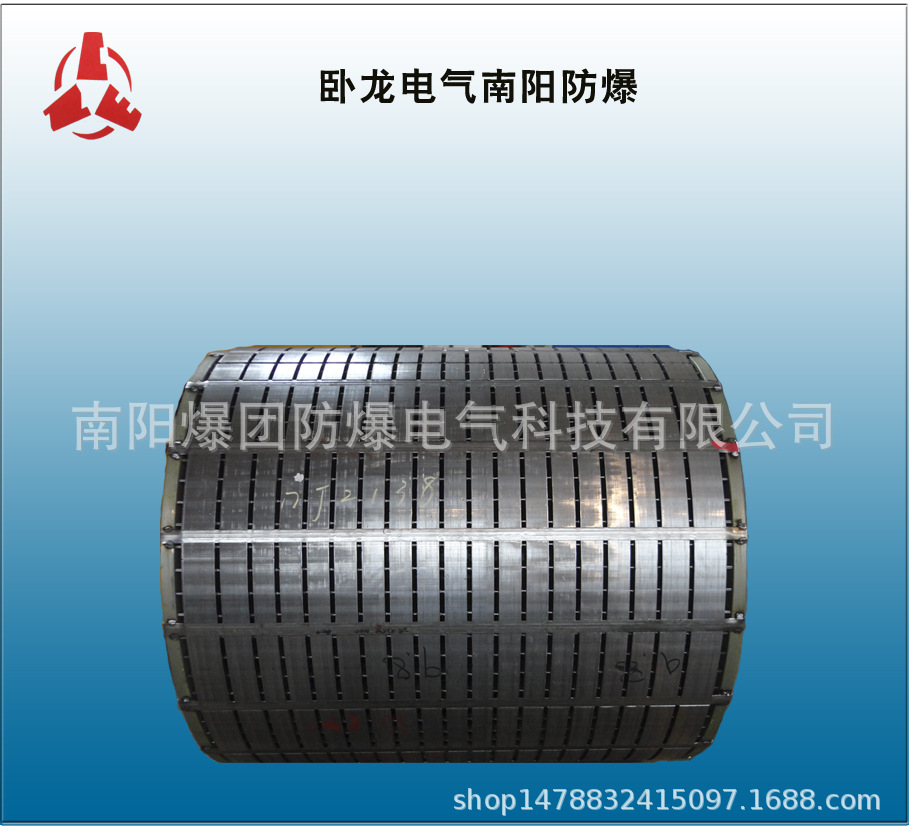 卧龙电气南阳防爆集团电机配件-定子铁心