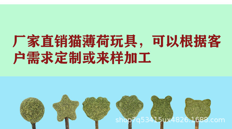 6款棒棒糖