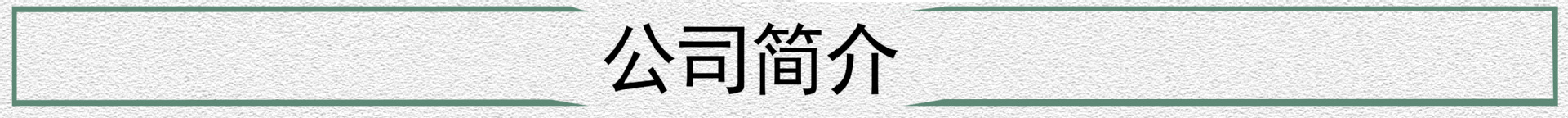 公司简介