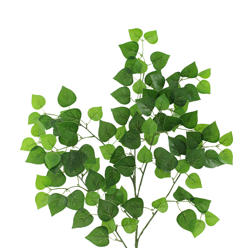 XRB-020 柏树叶五叉枝 (4).jpg