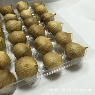 �a�ذl؛���l�l�ͺ���36ö  500g���^����