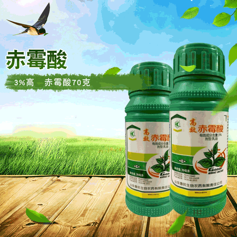 赤霉酸植物生长调节剂 厂家现货供应量大从优