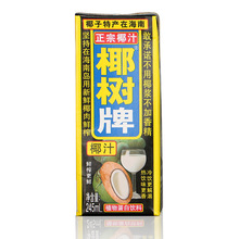 椰树椰汁正宗椰树牌椰子汁饮料饮品245ML*24盒/箱 植物蛋白椰奶JD