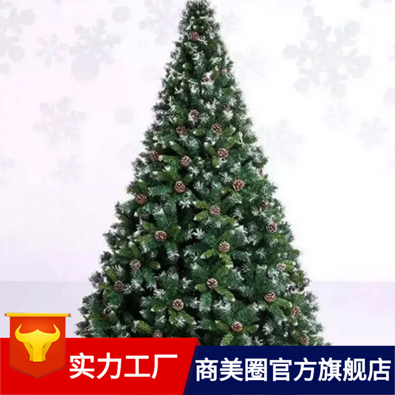 ʥ��������ʥ����װ�ξƵ��̳�װ�γ�������������װ��