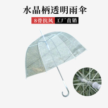 厂家直供水晶柄透明伞8骨加固PVC透明伞水晶柄女孩雨伞 一件代发