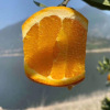 Orange fresh Zigui Navel orange 9 Season pregnant woman fruit Hand stripping Orange Iced sugar 5 Full container On behalf of