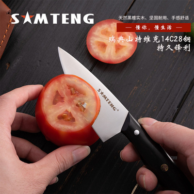 undefined4 inch cook Knife Cut fruit Carving knife Cleaver outdoors Sashimi Sushi Knife Fishingundefined