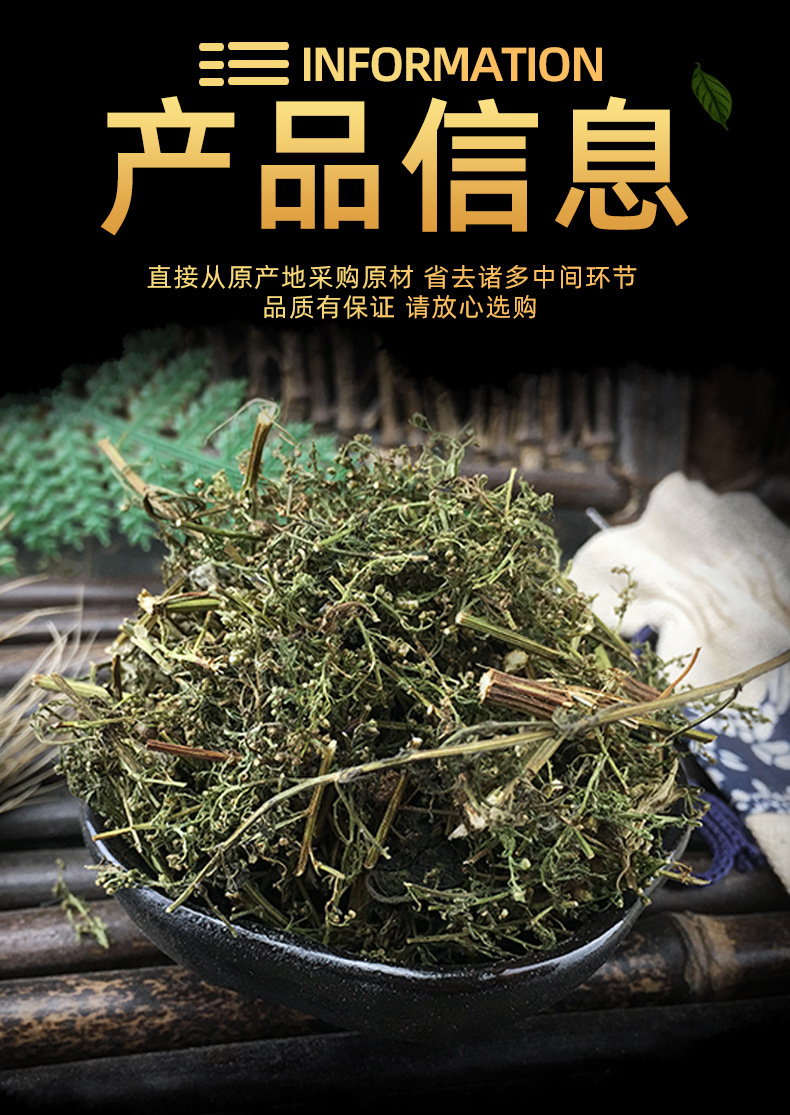 Dried Sweet Wormwood Herb Qing Hao 500g Fresh Batch Artemisia annua Leaves Traditional Herbal Tea Ingredient specifications