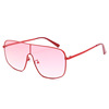 Fashionable sunglasses, brand glasses, 2021 collection, European style