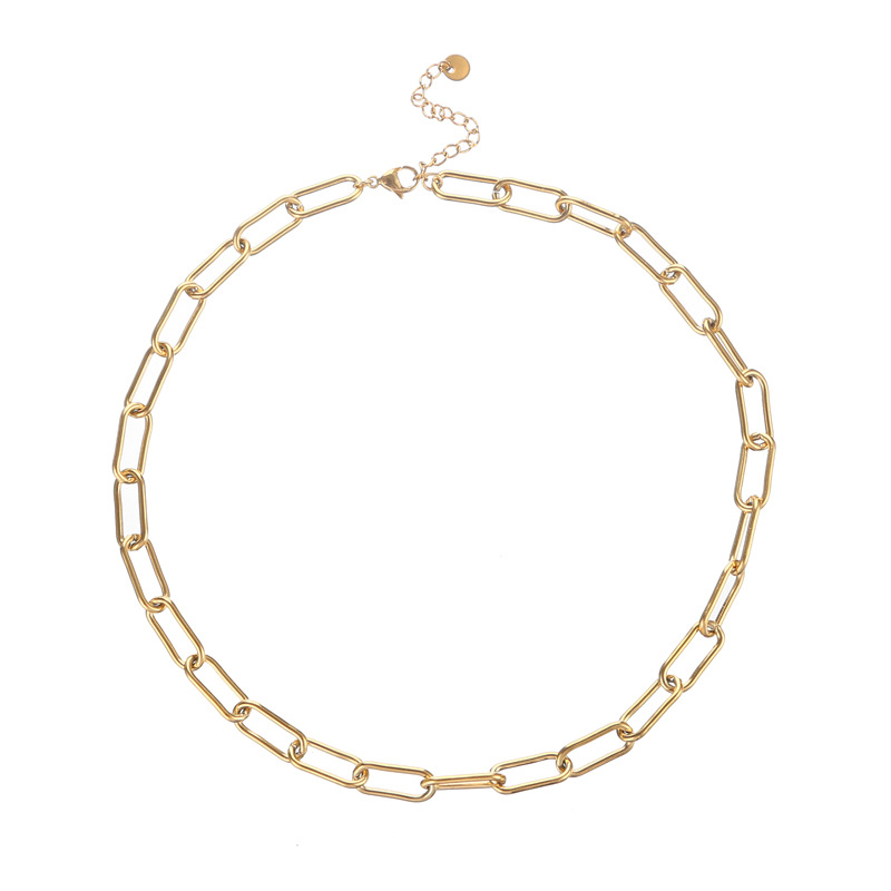 Chains Print Pattern Simple Style Chains Print Stainless Steel Plating Necklace