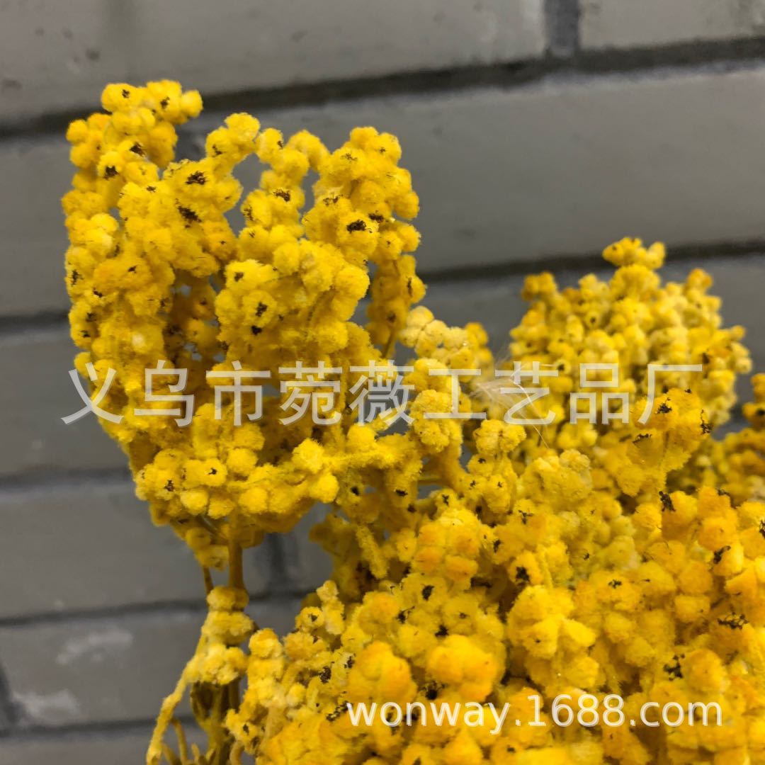 微信图片_20200503143304