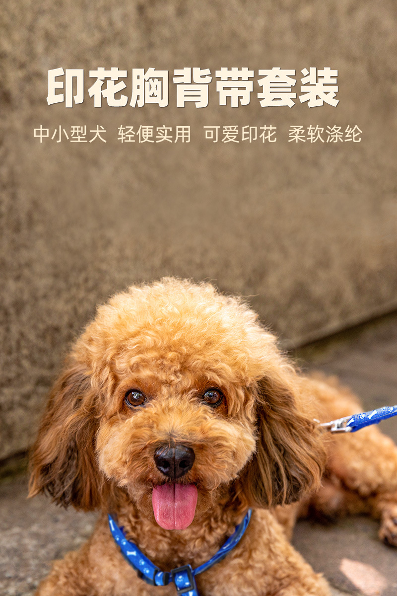 Puppy Traction rope Small dogs Dog rope suit Pets Supplies Manufactor Direct selling wholesale One piece On behalf of new pattern