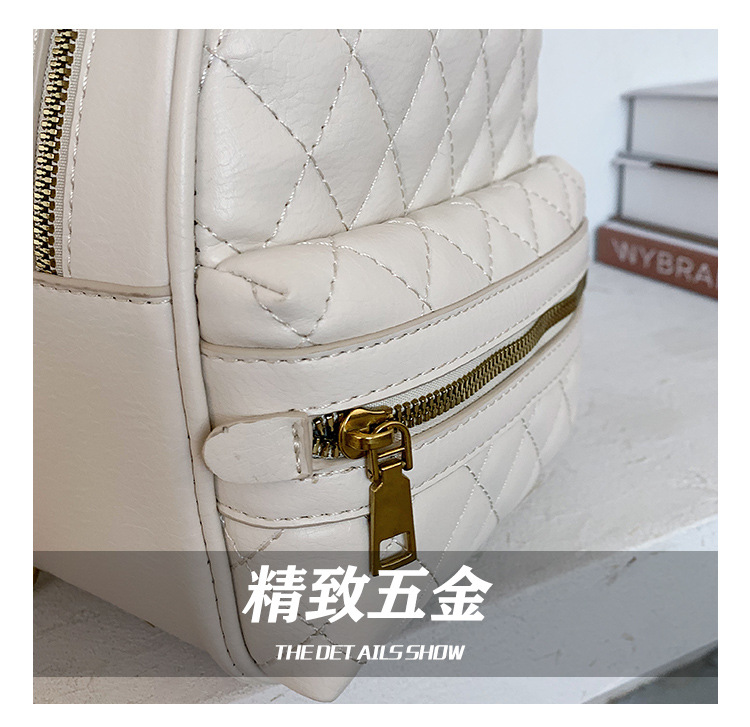 New Fashion All-match Texture Single-shoulder Messenger Multi-function Diamond Backpack display picture 16