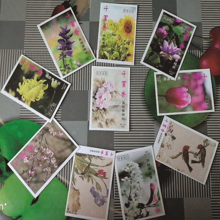 12631252341_1347975240