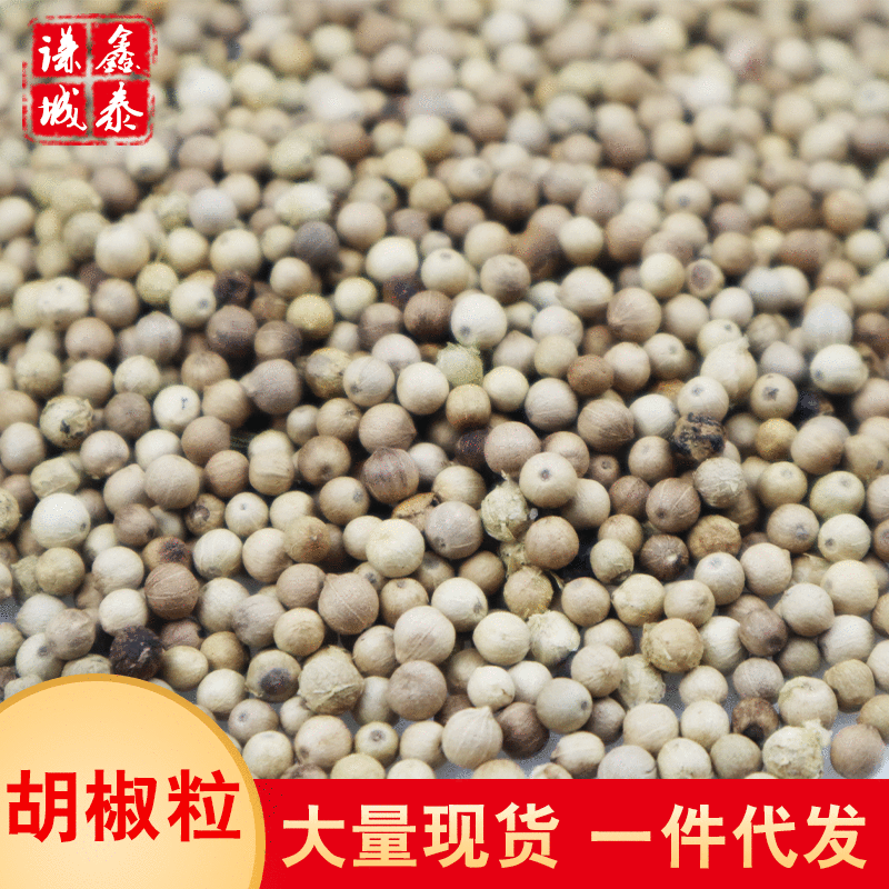 地摊香料海南白胡椒批发白胡椒粒调味香料煲汤家用胡椒粉量大从优|ms