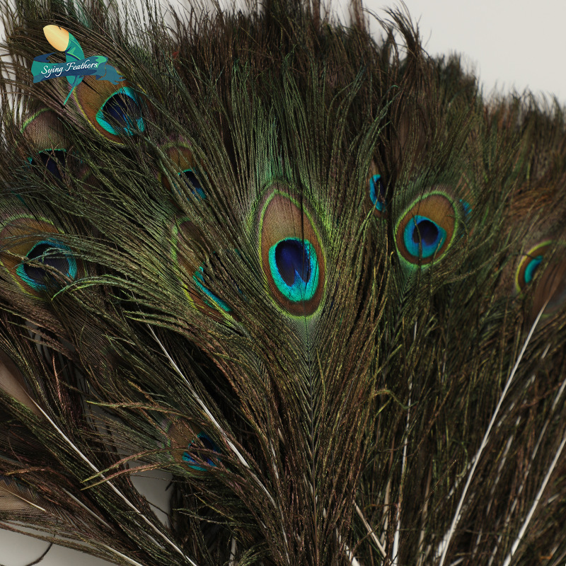 孔雀毛羽毛主图10