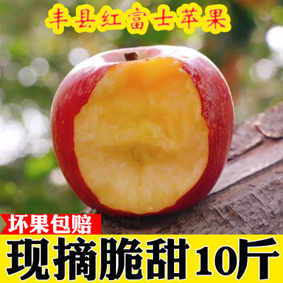 [Full house ] 2020 Fengxian County Great Shahe fresh Red Fuji SWEETHEART Ugly apple 5 pounds Place of Origin support On behalf of