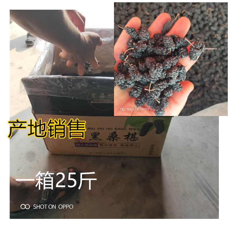 new goods bulk Mulberry Mulberry child Black Mulberry Mulberry Cong Various Specifications Mulberry