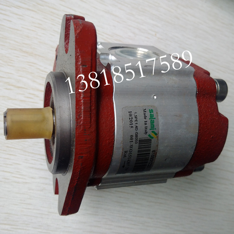 意大利salami萨拉米齿轮泵2PE13.8D-G28P1 2PE16/S-P28P1