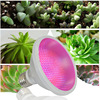 LED圓頭螺口燈泡植物燈12w節能生菜補光燈強光多肉花卉植物生長燈