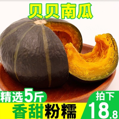真貝貝南瓜板栗南瓜日本小南瓜代餐寶寶輔食粉糯香甜新鮮5斤迷妳