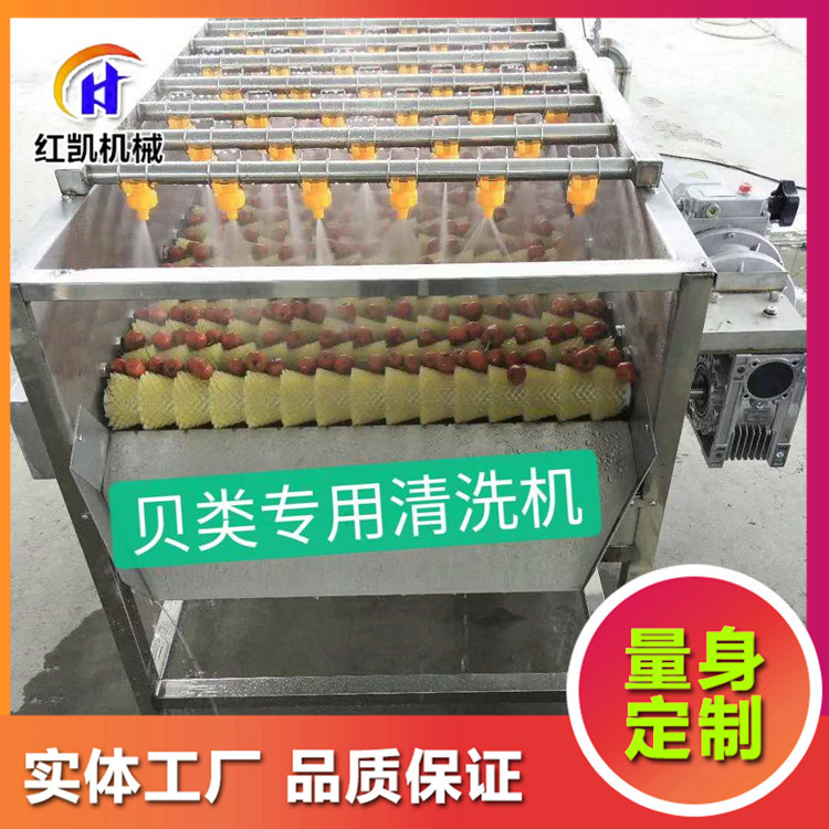供应全自动青萝卜清洗机 生姜平行毛辊清洗机 根茎类蔬菜清洗机