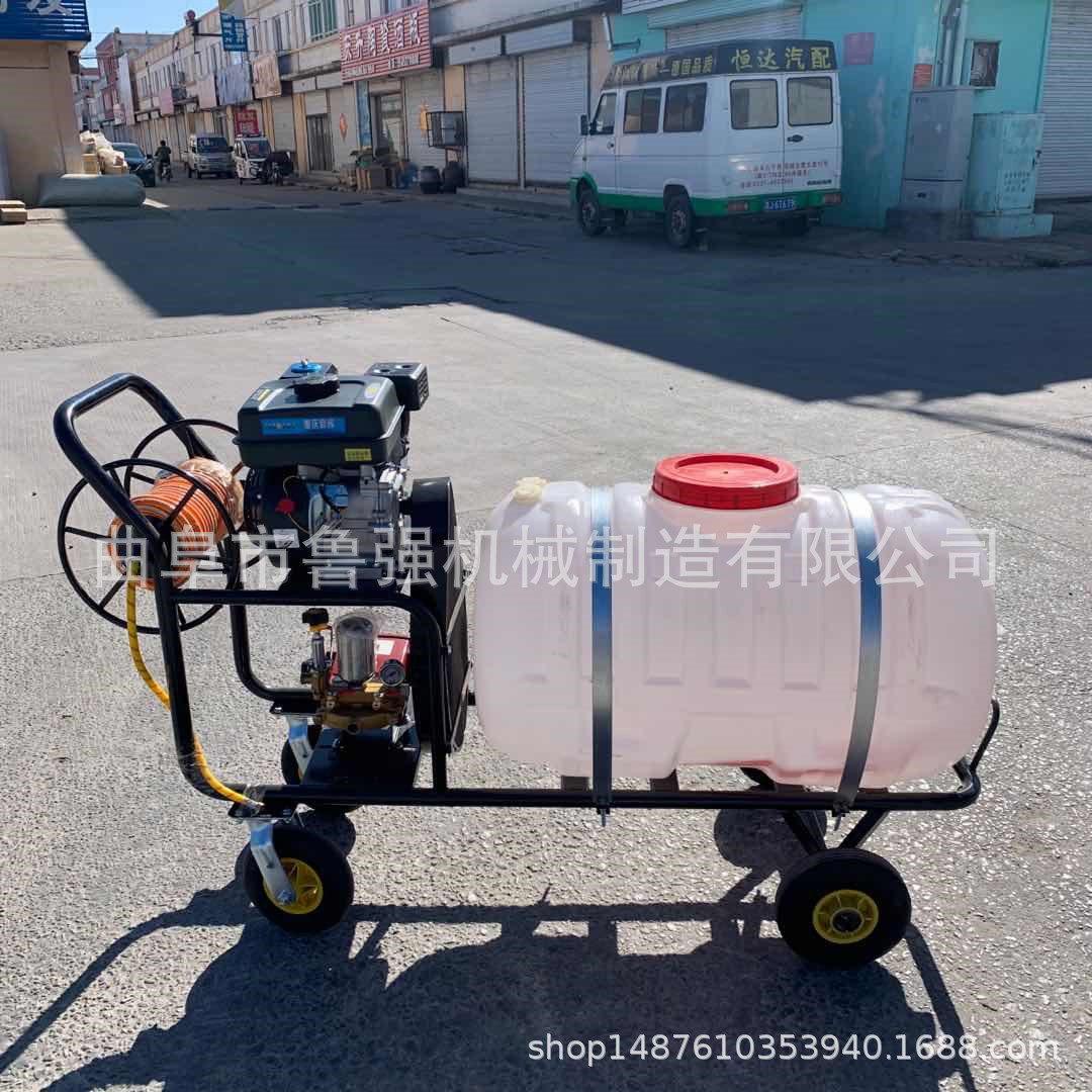 手推式汽油喷药机 大容量弥雾机 200L消毒喷药打药机价格