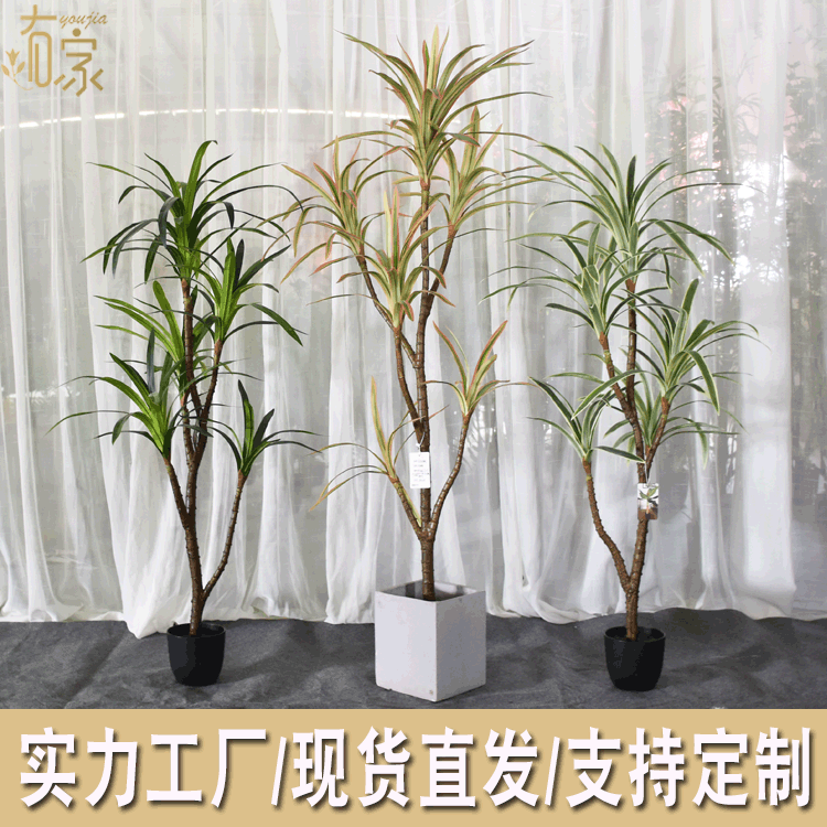 Decoración suave para árbol de hierro de sangre de dragón artificial Nórdico madera brasileña falsa decoración de maceta artificial planta tropical paisaje paisajismo