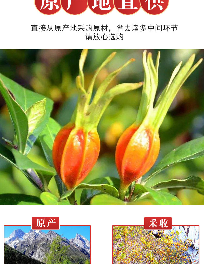 Shan Zhi Zi Tea (Gardenia jasminoides) — Dried Gardenia Fruit for Herbal Tea & Daily Wellness specifications