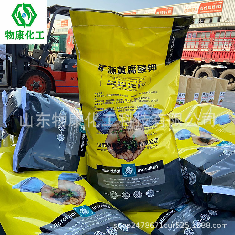 C09AD09C53242C1EBA15C62F23665B