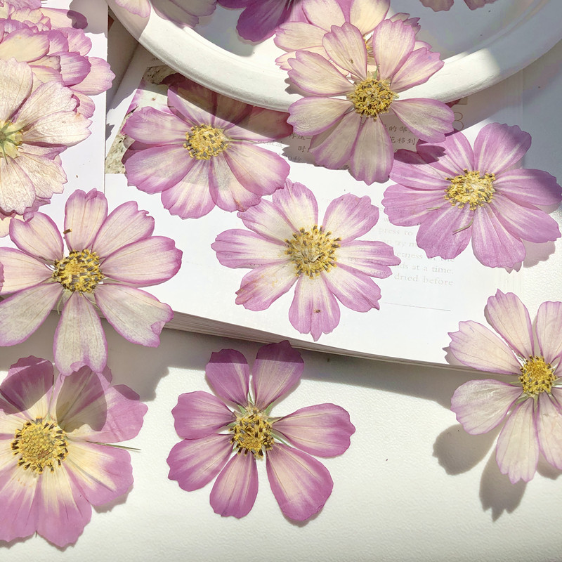 76f4edf84744c449e6a67587e5ee69