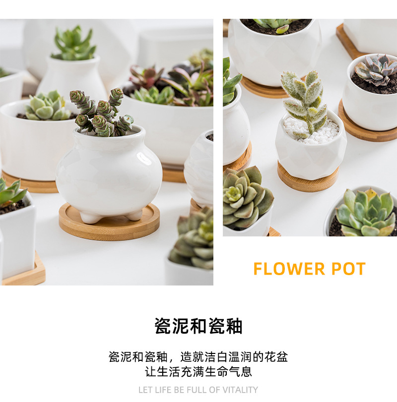 多肉种植盆_11.jpg