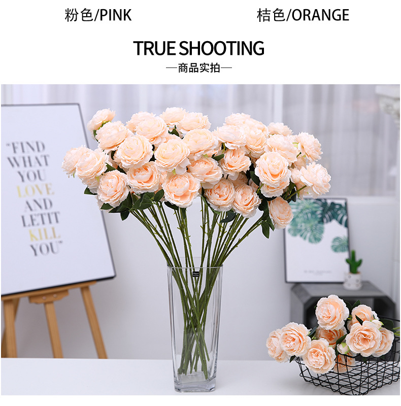 洋牡丹_06.jpg