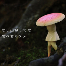 SHINE-G�ձ�����Ť�����  Ģ����Ů ��̫�� ��ʹʹ�� Ģ���˔[��