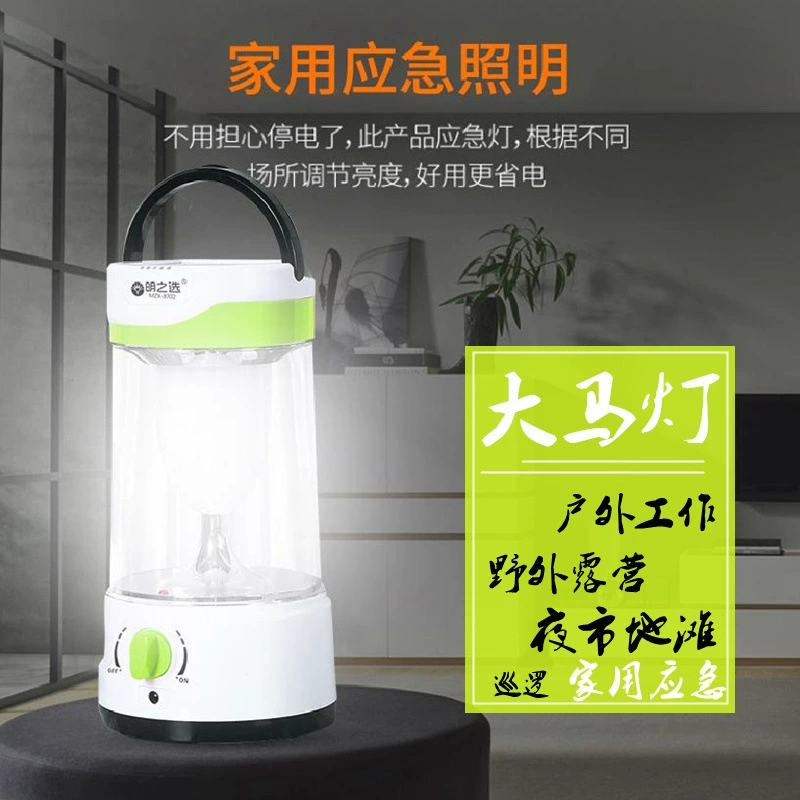 LED portable garden lights for camping solar-powered