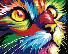 厂家批发DIY数字油画40*50CM外贸无框客厅卧室装饰画炫彩动物猫