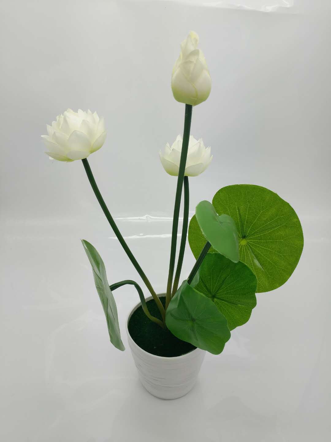 WeChat 圖片_20200704121152