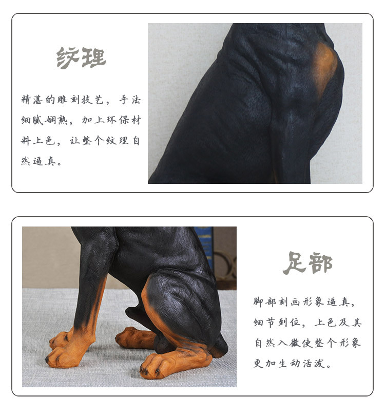 杜宾犬_12.jpg